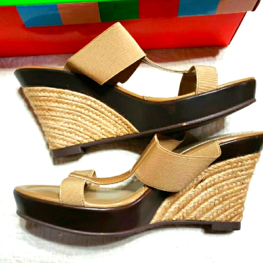 Charles David Tickle High Wedge Sandal Size 10